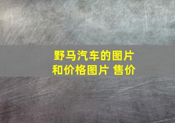 野马汽车的图片和价格图片 售价